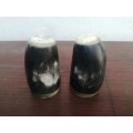 Small horn salt and pepper set.