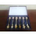 Beautiful set of 6 ornate teaspoons.