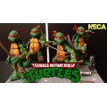 (NECA) Teenage Mutant Ninja Turtles