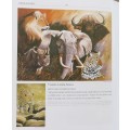 `ZEBRA MOM & BABY`  -  BEAUTIFULY FRAMED OIL -  by  Yvonne Carola-Pearce - Size 890mmx 580mm