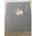 The Sea Fishes of Southern Africa by JLB Smith Book