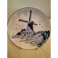 Delft Display Plate