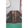 Beautiful Large Lion Bookends