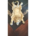Antique Victorian Lion Skin Pin Tray in Bronze/ Brass