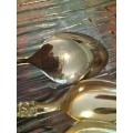 Gold Set of 8 Teaspoons with Rope Handles made in Japan