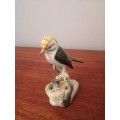 Adderly Fire Crest Bird Figurine with Silver Tone Crown