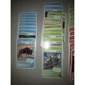 Super Animals Wild Life and there Sounds picknpay card reader
