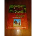 Medicinal Plants of South Africa book