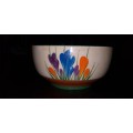 Lovely  Collectable Clarice Cliff Bizarre CROUCUS hand painted bowl