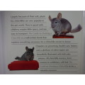 The Guide to Owning a Chinchilla - Anmarie Barrie
