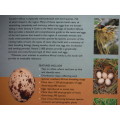 A Guide to the Nests and Eggs of Southern African Birds - Warwick Tarboton