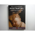 Recognising Postnatal Depression : A Handbook for Mothers - Paula Levin