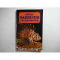 Popular Marine Fish for Your Aquarium - Paperback - Martyn Haywood