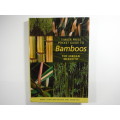 Timber Press Pocket Guide to Bamboos - Ted Jordan Meredith