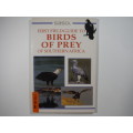 Sasol : First Field Guide to Birds of Prey of Southern Africa