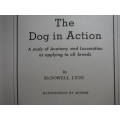 McDowell Lyon`s : The Dog in Action - A Study of Anatomy and Locomotion