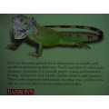 Green Iguanas : Barron`s Reptile Keeper`s Guides - R.D. Bartlett