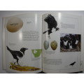 Newman`s Garden Birds - Hardcover - Kenneth Newman - 1992