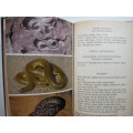 Snakes of Africa - R.M. Isemonger - 1983 Edition