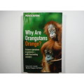 NewScientist : Why are Orangutans Orange? : Science Questions in Pictures - Paperback