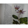 Flowering Bulbs : A Concise Guide in Colour - Hardcover