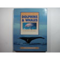 Endangered Species : Dolphins & Whales - Hardcover - Stephen Savage