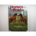 Horses & Foals - Hardcover - Sue Allfrey