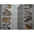 The Complete Guide to British Wildlife - Paperback - N.Arlott