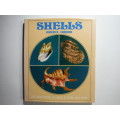 Shells - Hardcover - Roderick Cameron