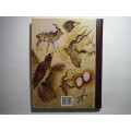 Jeff Huntly`s African Wildlife Sketches - Hardcover - 1990 First Edition