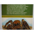 Struik Pocket Guides for Southern Africa : Spiders - Hardcover - Gerry Newlands