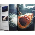 Sharks : A Portrait of the Animal World - Hardcover - Andrew Cleave