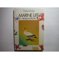 Marine Life Along Our Shores - Hardcover - Pauline Harding
