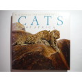 Cats of Africa - Hardcover - Paul Bosman and Anthony Hall-Martin