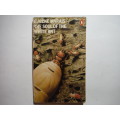 The Soul of the White Ant - Paperback - Eugene Marais - 1973