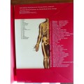 Display Atlas of Elementary Anatomy by Wolfe Medical Publications Ltd