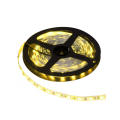 Led Strip light 5050 5M Indoor Warm-white with power supply