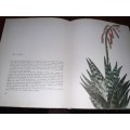 Decorative Cacti - A Guide to Succulent House Plants - Rudolf Subik