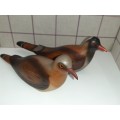 Pair of Namaqua Doves - Feathers of Knysna - Limited Edition - Hand Painted and Carved