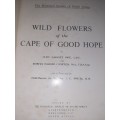 Wild Flowers of the Cape of Good Hope - Elsie Garrett Rice - 1950