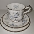 Paragon Fine Bone China Trio - Brides Choice - By appointment to her Majesty the Queen