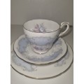 Paragon Fine Bone China Trio - Concerto - By appointment to her Majesty the Queen