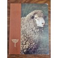 Letelle - The Development of a South African Sheep