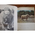 Letelle - The Development of a South African Sheep