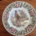 Churchill Wildlife Display Plate with wall hanging attachment - Phasiana - 25cm