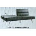 Seattle Sleeper Couch