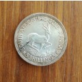 South Africa 1949 Silver 5 Shillings. Great condition.