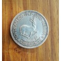 South Africa 1947 Silver 5 Shillings.