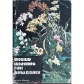 Orchid Growing for Amateurs by Schelpe