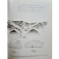 The Story of Take Tori (text in Japanese and English with illustrated pages) published 1994